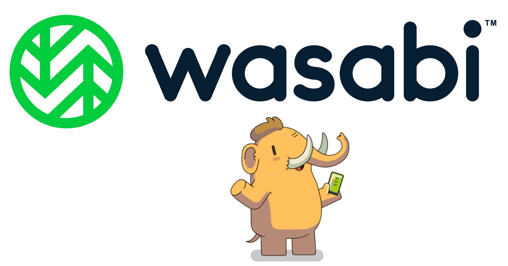 Moving Mastodon's media files to Wasabi Object Storage