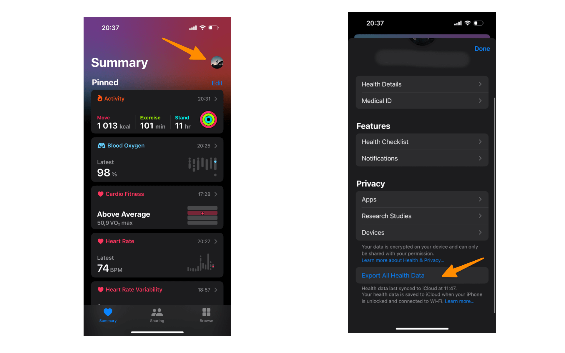 Exporting Apple Health data